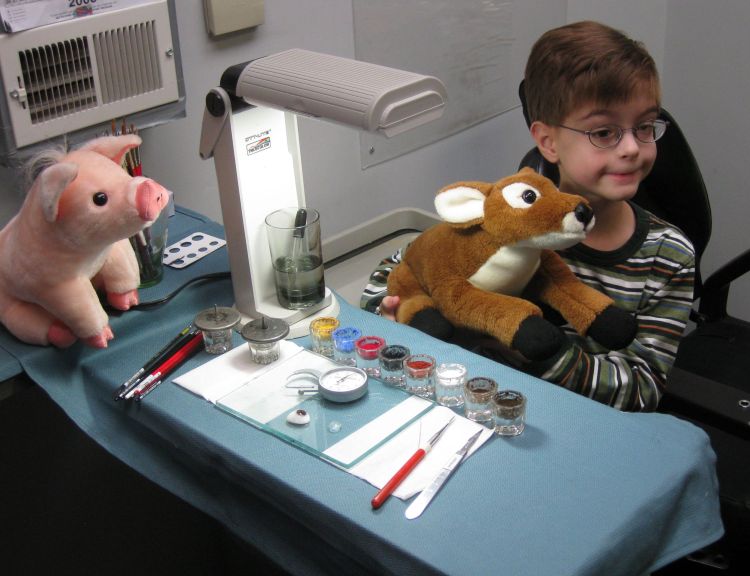 Will getting his new eye