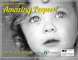 2013 Eyecare for Kids calendar
