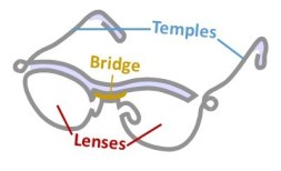 drawing of glasses with parts labeled: lenses, bridge (nose piece), and temples (ear pieces)